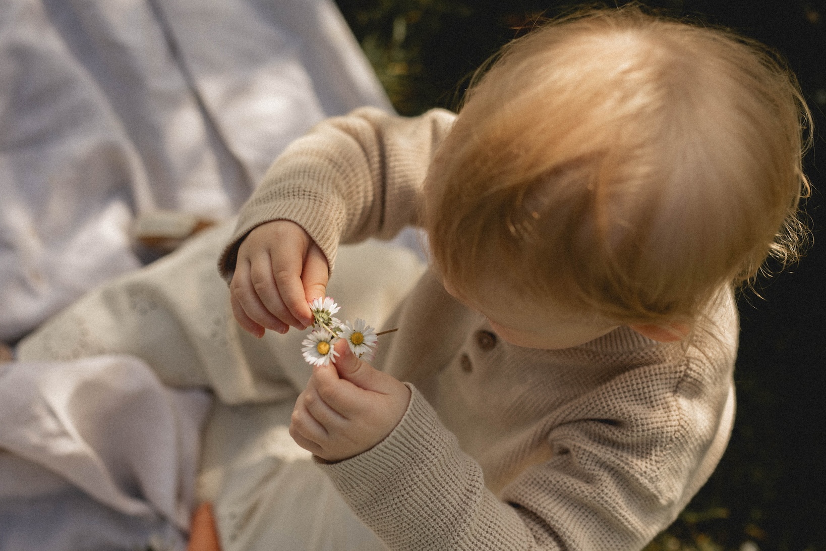 Tochter spielt mit Gänseblümchen
